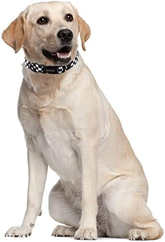 Roses&Poetry Dog Collar with Colourful Checkered Patterns, Adjustable Durable Puppy Collars for Small Medium Large Dogs (Black & White-M)