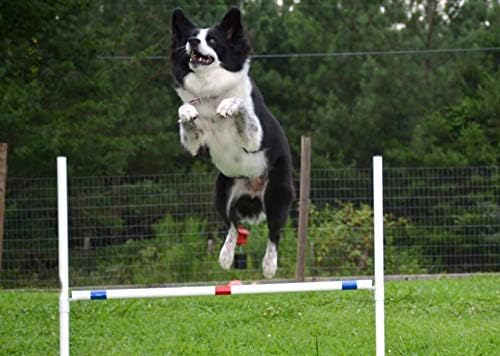 Dog Agility Training Equipment Course Set, Weave Poles, Dog Agility Jump with Dog Agility Jump Cups and Tire Jump