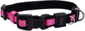 Coastal Pet - Coastal - Inspire Enhanced Core - Adjustable Collar, Pink, 5/8" x 8"-12"