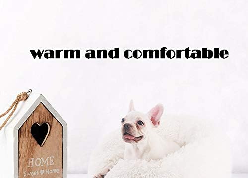 BODISEINT Modern Soft Plush Round Pet Bed for Cats or Small Dogs, Mini Medium Sized Dog Cat Bed Self Warming Autumn Winter Indoor Snooze Sleeping Cozy Kitty Teddy Kennel (20” D x 8'' H, Pink)