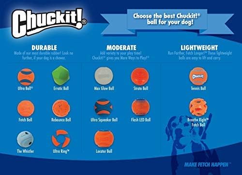 Chuckit! Dog Tennis Ball Dog Toy, Large (3 Inch Diameter) for dogs 60-100 lbs, Pack of 2