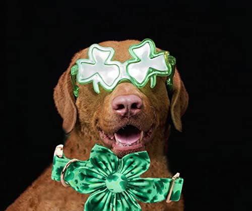 Lionheart Glory St. Patrick's Day Dog Collar, Dog Collar with Flower, Cute Floral Pattern Pet Collars Adjustable Pet Collars for X-Small Dogs