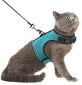 PUPTECK Soft Mesh Cat Vest Harness and Leash Set Puppy Padded Pet Harnesses Escape Proof for Cats Small Dogs (Large, Lake Blue)