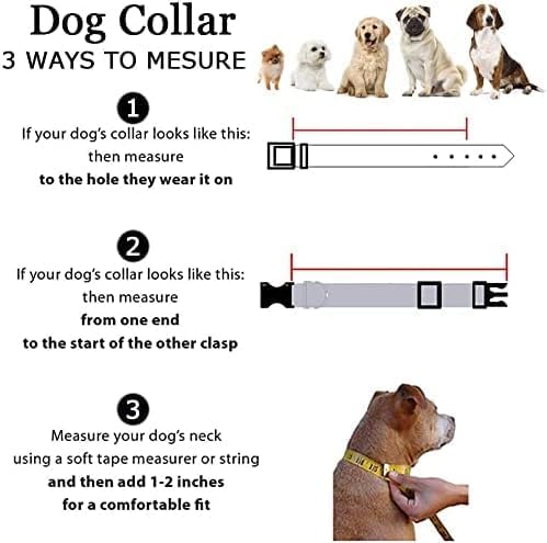 Roses&Poetry Reflective Dog Collar with Gradient Azure, Adjustable Durable Pet Collars for Small Medium Large Dogs (Azure-M)