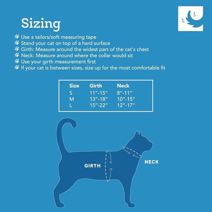 RC Pets Adventure Kitty Cat Harness | Adjustable Airmesh Vest with D-Ring and 6ft Leash for Walking and Travel | Lil Heart, Medium