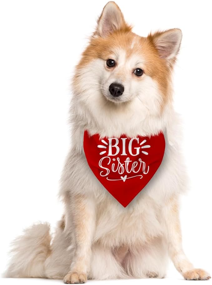 Big Sister Dog Bandana, Pet Dogs Pregnancy Announcement, Red Dog Bandana, Pet Bandanas for Small Medium Large Dogs (M)