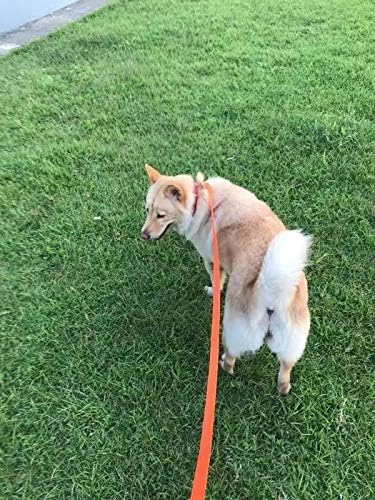 AMAGOOD Dog Leashes for Large, Medium & Small Dogs,20 ft Long Dog Leash-for Training,Tie Out,Play,Safety,Camping (20Feet x 1Inch, Blue)
