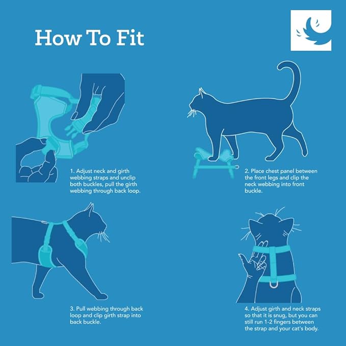 RC Pets Adventure Kitty Cat Harness | Adjustable Airmesh Vest with D-Ring and 6ft Leash for Walking and Travel | Raspberry, Large