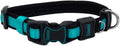 Coastal Pet - Coastal - Inspire Enhanced Core - Adjustable Collar, Aqua, 1" x 14"-20"
