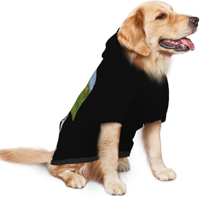 Customized Dog Hoodie with Name Logo Personalized Text Soft & Warm for Puppy Sweatshirt Hooded for Small Medium Large Dogs Girl/Boy Cats/Kitten, Yellow, M