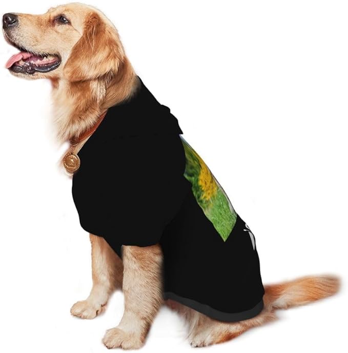 Customized Dog Hoodie with Name Logo Personalized Text Soft & Warm for Puppy Sweatshirt Hooded for Small Medium Large Dogs Girl/Boy Cats/Kitten, Goldenrod, L