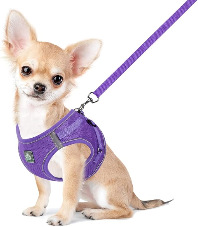 FEimaX Dog Harness and Leash Set, No-Pull Breathable Soft Mesh Puppy Vest Harness Reflective Adjustable Pet Harnesses for Small Medium Dogs and Cats - Outdoor Easy Control for Walking