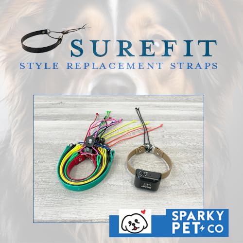 Replacement GPS eCollar with Adjustable Bungee, Multi-Hole Design, and Secure Toggle Closure for Small Dogs (Blue, Small Neck) Reflective