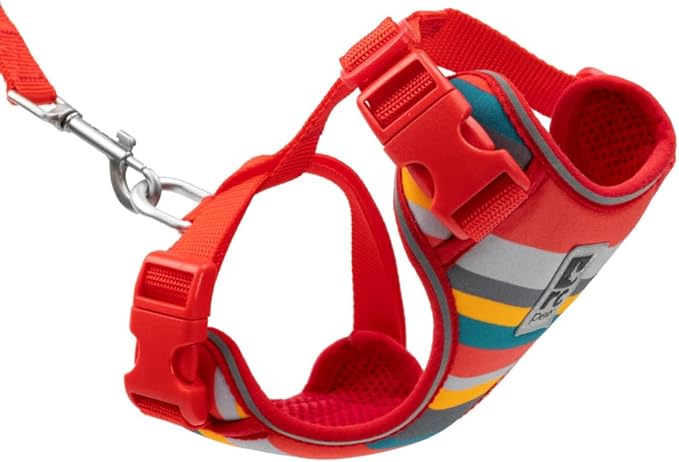 RC Pets Adventure Kitty Cat Harness | Adjustable Airmesh Vest with D-Ring and 6ft Leash for Walking and Travel | Multi Stripes, Medium