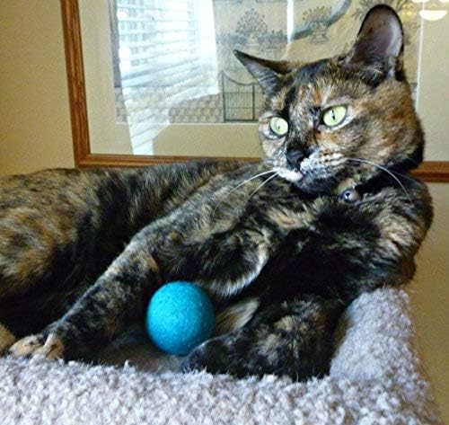 Wool Cat Toys - Felt Cat Toy Balls for Small Pet Fetch and Play - Eco Friendly Quiet Wool Ball Cat Toy for Cats and Kittens - Choose Your Colors (Aqua)