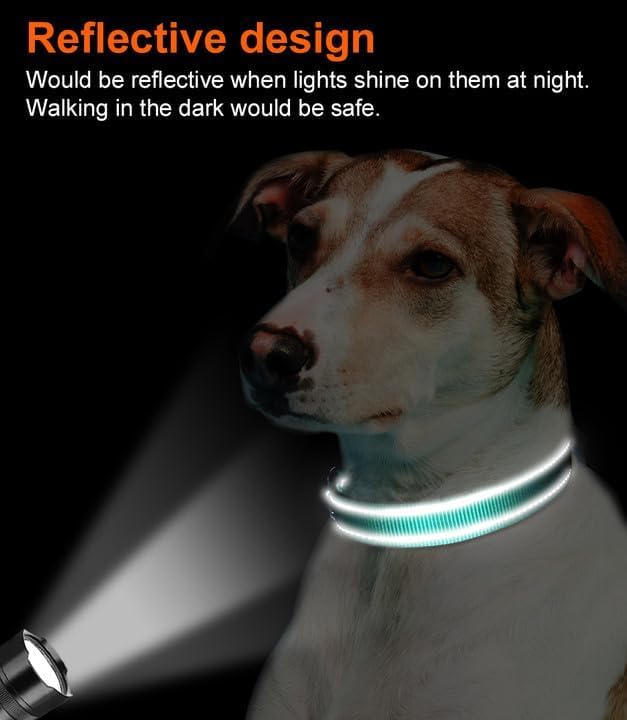 Joytale Reflective Dog Collar, Soft Neoprene Padded, Metal D-Ring, Nylon Pet Collar Adjustable for Medium Dogs, Teal, M