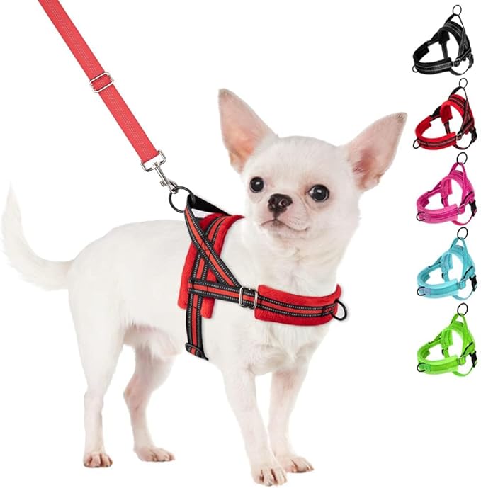 SlowTon No Pull Small Dog Harness and Leash Set, Puppy Soft Vest Harness Neck & Chest Adjustable, Reflective Lightweight Harness & Anti-Twist Pet Lead Combo for Small Medium Dogs (Red, XS)
