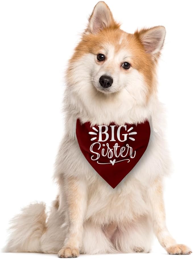 Big Sister Bandana for Dogs, Dog Pregnancy Announcement, Dark Red Dog Bandana, Pet Bandana for Small Medium Large Dogs (M)