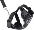 RC Pets Adventure Kitty Cat Harness | Adjustable Airmesh Vest with D-Ring and 6ft Leash for Walking and Travel | Daisies, Large