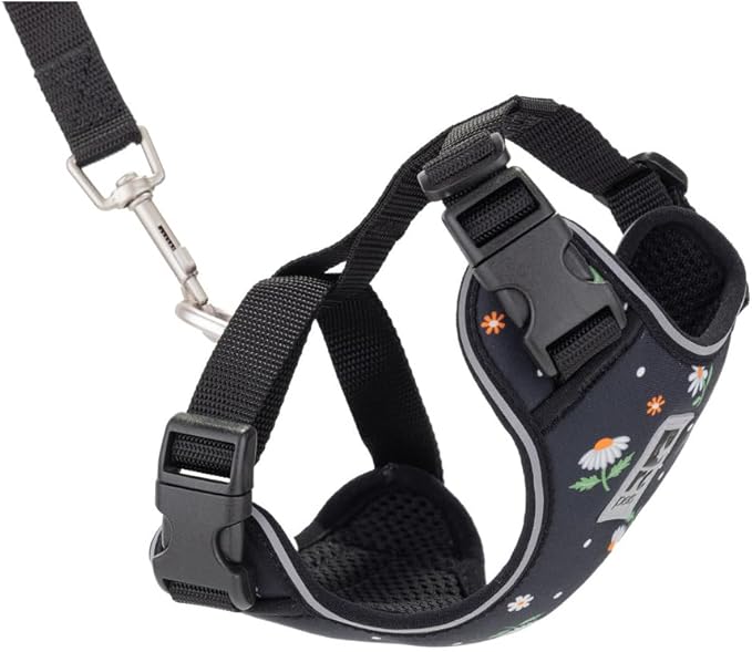 RC Pets Adventure Kitty Cat Harness | Adjustable Airmesh Vest with D-Ring and 6ft Leash for Walking and Travel | Daisies, Large
