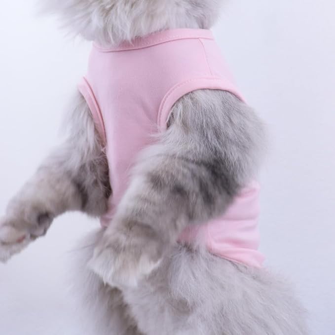 Custom Dog Shirt,Personalized Pet Apparel with Name Text Photo Image,Lightweight Breathable Puppy Kitten Cotton Vest for Small Medium Dogs Cats,Puppy Gift (Blue, Medium)