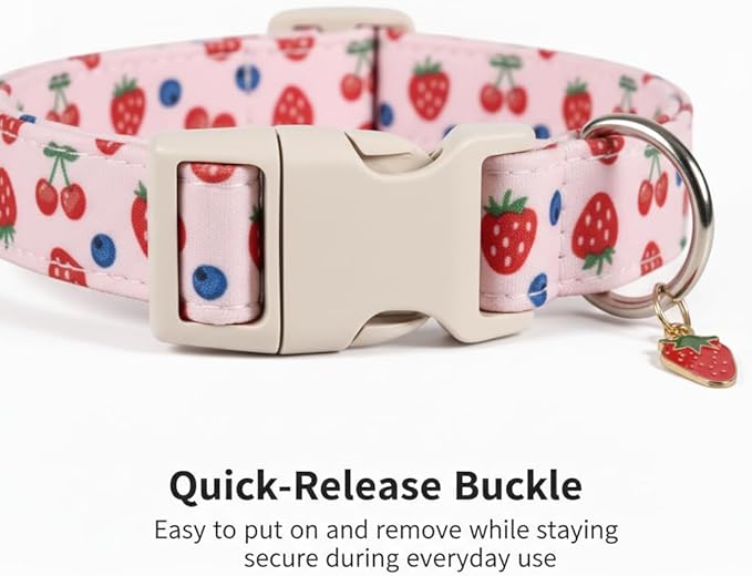 Girl Dog Collar, Cute Dog Collar for Medium Dogs with Cute Strawberry, Cherry and Blueberry Print, Pink Collar for Dogs with Quick-Release Buckle and Robust D Ring, M