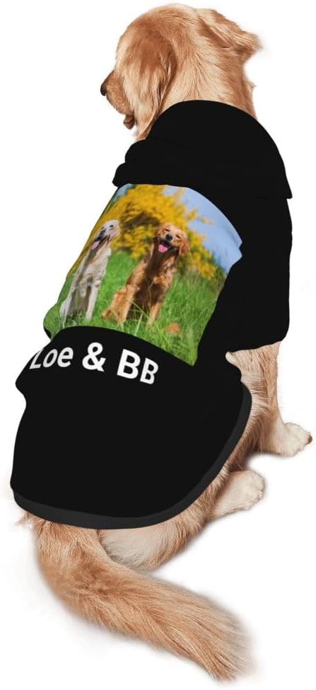 Customized Dog Hoodie with Name Logo Personalized Text Soft & Warm for Puppy Sweatshirt Hooded for Small Medium Large Dogs Girl/Boy Cats/Kitten, Teal, XXL
