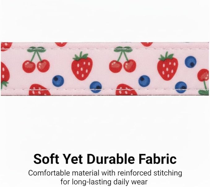 Small Dog Collar, Cute Dog Collar for Puppy, Extra Small & Small Dogs, Strawberry Blueberry Collar for Girl Female Dogs, XS