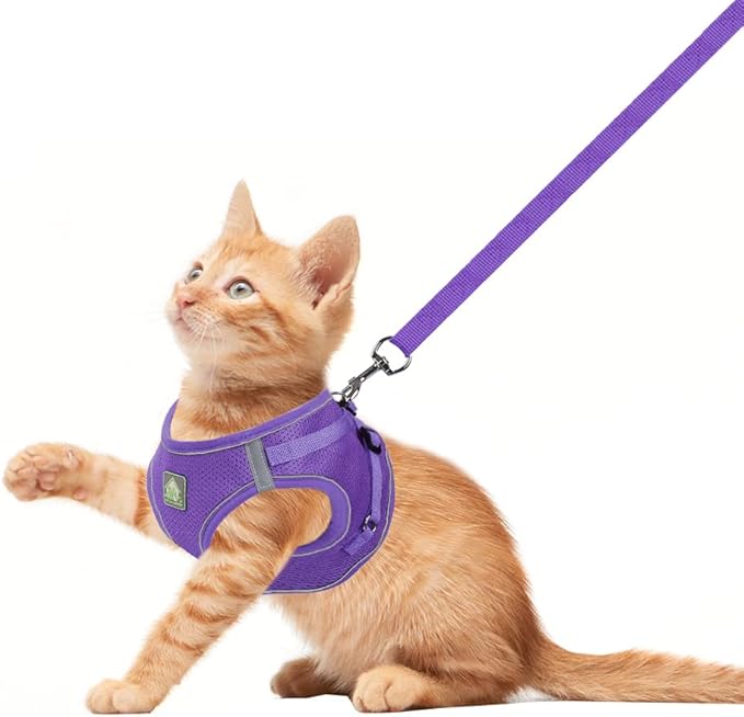 FEimaX Dog Harness and Leash Set, No-Pull Breathable Soft Mesh Puppy Vest Harness Reflective Adjustable Pet Harnesses for Small Medium Dogs and Cats - Outdoor Easy Control for Walking (XS, Purple)