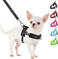 SlowTon No Pull Small Dog Harness and Leash Set, Puppy Soft Vest Harness Neck & Chest Adjustable, Reflective Lightweight Harness & Anti-Twist Pet Lead Combo for Small Medium Dogs (Black, XXS)