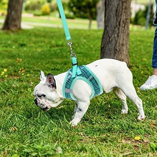 PUPTECK Adjustable Dog Harness Collar and Leash Set Step in No Pull Pet Harness for Small Medium Dogs Puppy and Cats Outdoor Walking Running, Soft Mesh Padded Reflective Vest Harnesses, Lake Green M