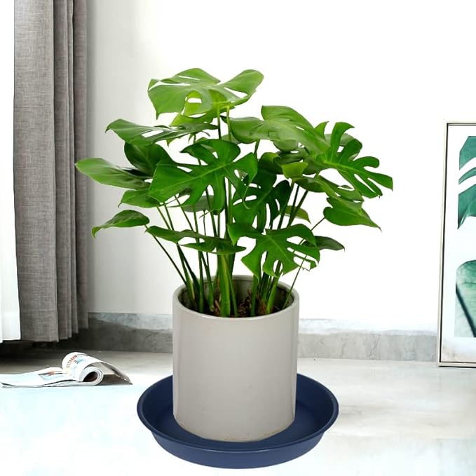2 Pack of 20 21 inch Plant Saucer Round, Deep Plant Saucers for Pots, Heavy Duty Plastic Plant Drip Tray for Indoors Outdoor, Bird Bath Bowls, Plant Trays for Planter 19-22" (21 inch, Blue)