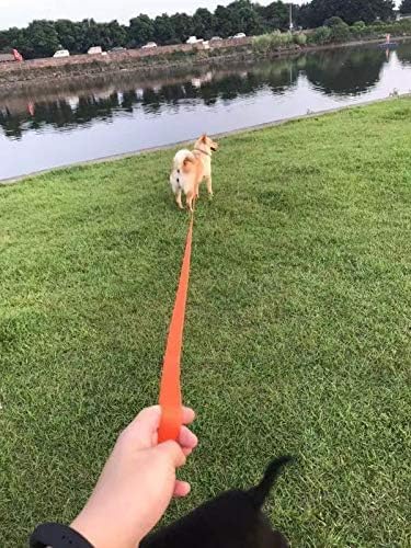 AMAGOOD Dog/Puppy Obedience Recall Training Agility Lead-15 ft 20 ft 30 ft 50 ft Long Leash-for Dog Training,Tie Out,Play,Safety,Camping (50Feet x 1Inch, Blue)