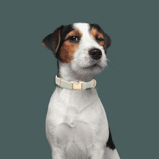 Soft Cotton Hemp Dog Collar with Metal Buckle Adjustable Tweed Dog Collars for Small Medium Large Dogs(Grey,Medium)