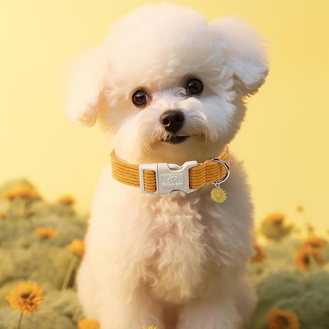 Cute Corduroy Dog Collar - Mustard Yellow Adjustable Dog Collars for X-Large Dogs 80+lbs, Fade-Proof with Secure Snap & Little Charm, Christmas Birthday Gift, XL