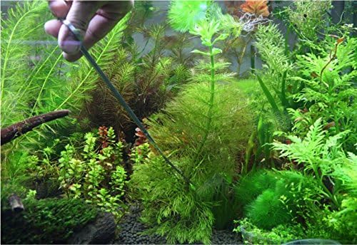 Co-link 3 in 1 Stainless Steel Aquarium Tank Aquatic Plant Tweezers Scissors Tools for Decoration of Your Aquarium Plants