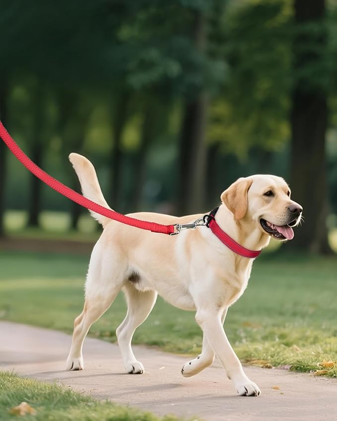 Joytale Large Dog Collar, Reflective and Adjustable Nylon Pet Collar with Quick-Release Buckle for Extra Large Dogs, Red, XL