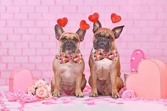Lionheart glory Valentine's Dog Collar, Dog Collars with Bow, Pet Collar Adjustable Dogs Bowtie Pet Collars for Medium Dogs
