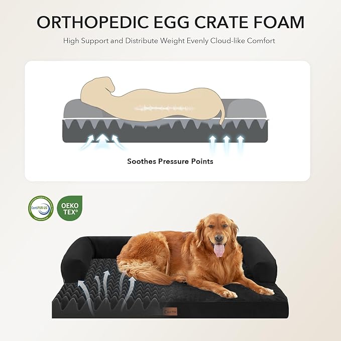 Orthopedic XXL Dog Beds, Waterproof Egg Crate Foam Big Pet Bed for All Breed Sized Dogs 53x42Inch, Washable Extra Large Dog Couch Bed with Removable Cover and Non-Slip Bottom, Black