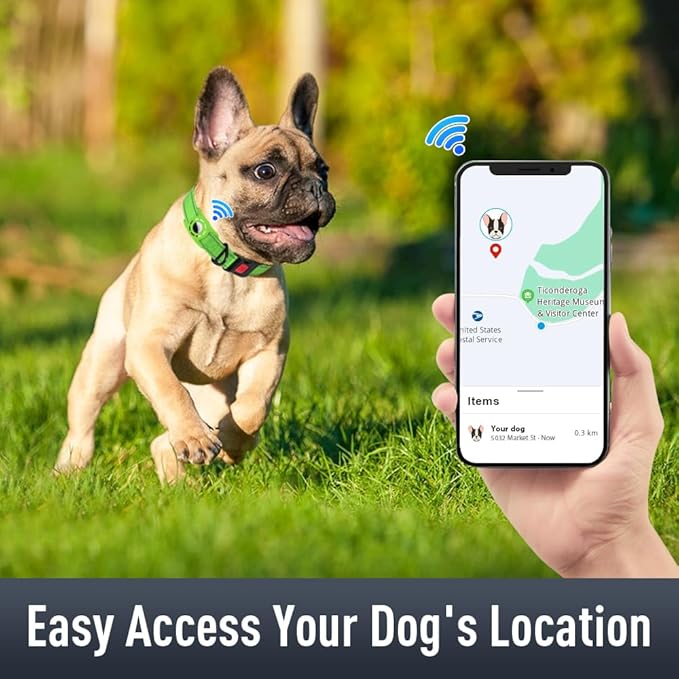 Airtag Dog Collar with AirTag Holder for Puppy Small Dogs, Reflective, Soft Padded & Safety Locking Buckle, Nylon Pet Collars Adjustable for All Breeds, Green,XS