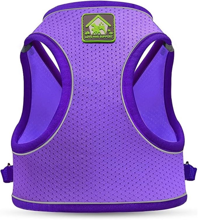 FEimaX Dog Harness and Leash Set, No-Pull Breathable Soft Mesh Puppy Vest Harness Reflective Adjustable Pet Harnesses for Small Medium Dogs and Cats - Outdoor Easy Control for Walking (L, Purple)
