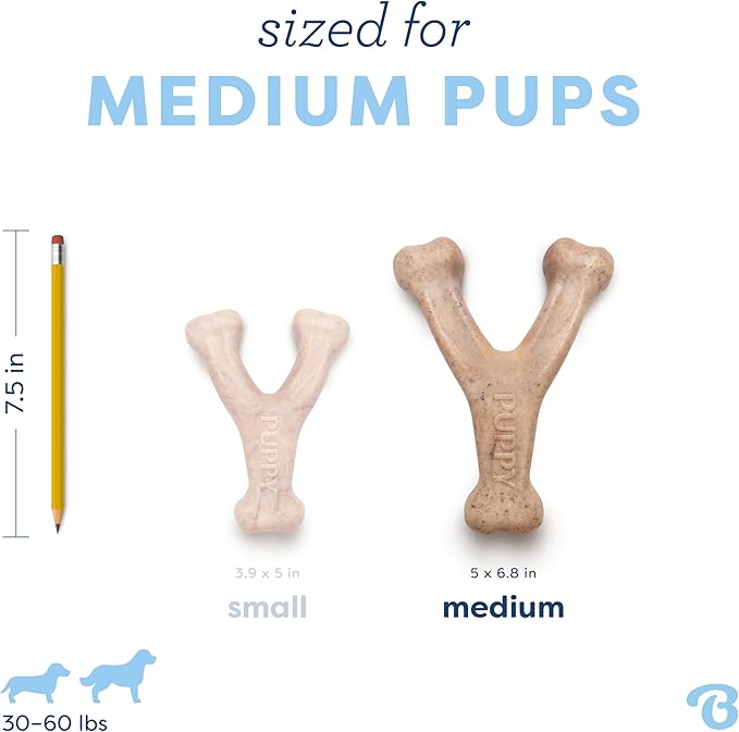 Benebone Puppy Wishbone Durable Dog Chew Toy for Gentle Chewers, Real Bacon, Made in USA, Medium