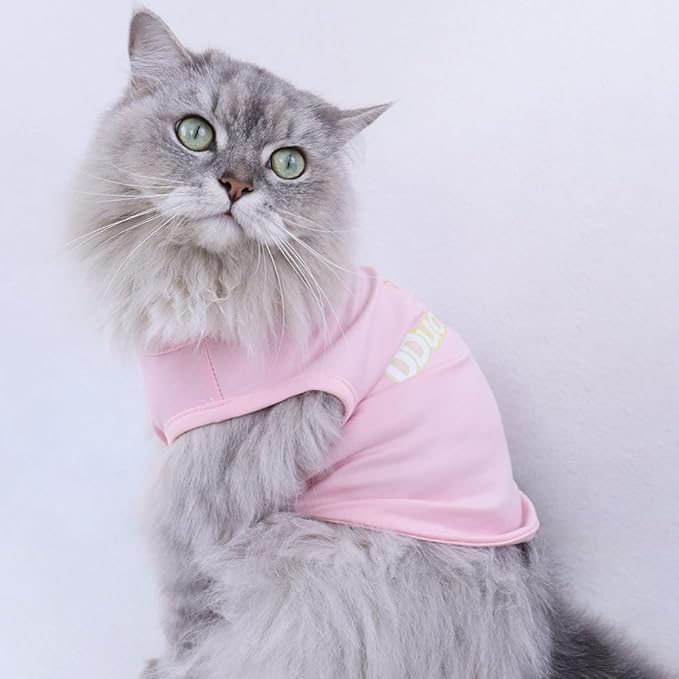 Custom Dog Shirt,Personalized Pet Apparel with Name Text Photo Image,Lightweight Breathable Puppy Kitten Cotton Vest for Small Medium Dogs Cats,Puppy Gift (White + Black Border, Small)