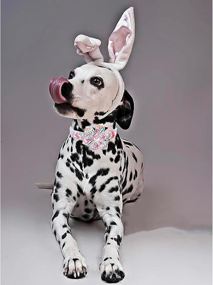 Lionheart glory Easter Day Dog Collar with Flower Dog Collar for X-Small Dogs, Rabbits Colorful Dogs Collars Flowers Spring Collars Puppy Flowers