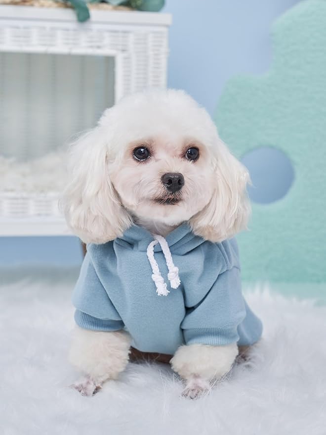 QWINEE Basic Dog Hoodie Sweatshirt Puppy Sweater Warm Cat Costumes Pet Clothes for Chihuahua Puppy Kitten Small Medium Dogs Multicolored X-Large