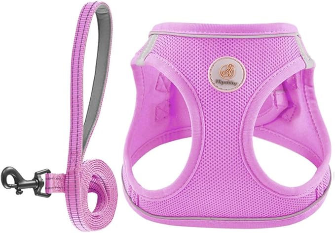 Hipubby Dog Harness and Leash Set, No Pull Soft Mesh Puppy Harness for Small Medium Dogs, Cats - Step in Reflective Breathable Lightweight Vest Harness for Walking, Training - Purple, L
