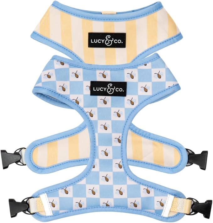 Lucy & Co. Bumbling Around Reversible Dog Harness, Adjustable Comfort Fit with Dual Leash Attachments, X-Large