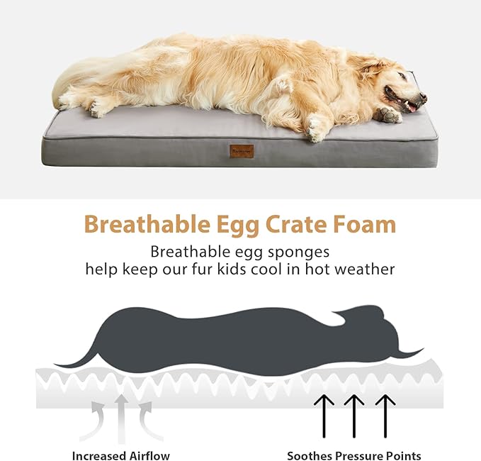 BFPETHOME Outdoor Dog Beds for Large Dogs, Waterproof Dog Bed for Medium, Large, Extra Large Dogs, Orthopedic Pet Bed with Removable Washable Cover, Egg Crate Foam Pet Bed Mat. (47 x 29 in, Grey)