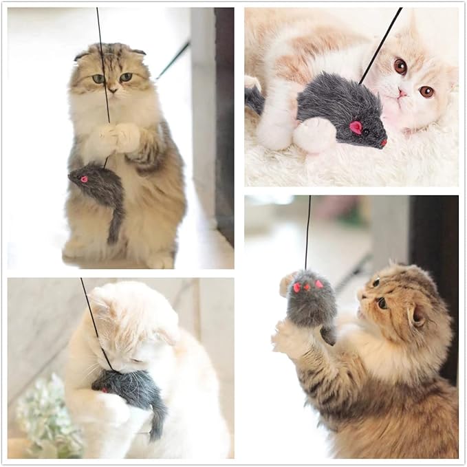 Kalimdor Interactive Cat Feather Toys,Retractable Teaser Toy ，Hanging Interactive Toys for Indoor Cats Kitten Play Chase Exercise, Kitten Mental Exercise Toys (2 Pack)