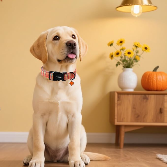 DOGWONG Fall Maple Dog Collar- Cute Classic Fall Autumn Flower Dog Collars Adjustable Fall Dog Collar for Small Medium Large Dogs M